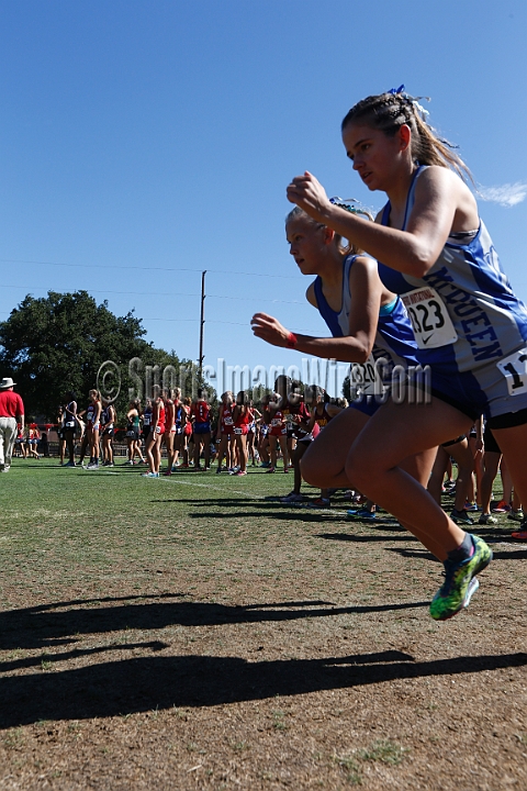 2015SIxcHSD1-140.JPG - 2015 Stanford Cross Country Invitational, September 26, Stanford Golf Course, Stanford, California.